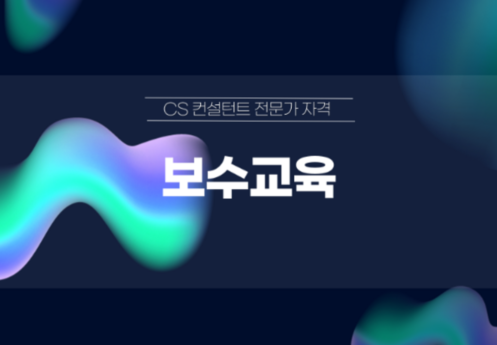 CS 컨설턴트 전문가 자격 이미지